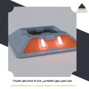 كيف تعمل عيون القطط على مدار 24 ساعة بدون كهرباء؟