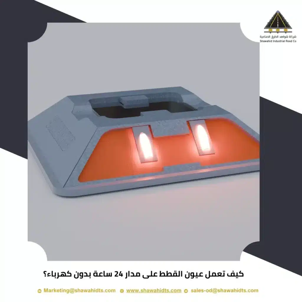 كيف تعمل عيون القطط على مدار 24 ساعة بدون كهرباء؟